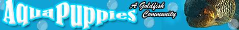 AquaPuppies.com: A Goldfish Community