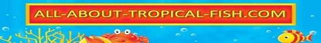 All About Tropical Fish