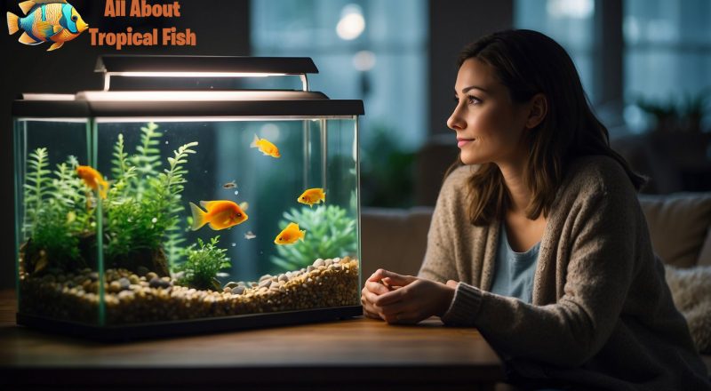 a woman in her lounge area, admiring her fish tank