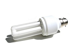 Compact Fluorescent Light