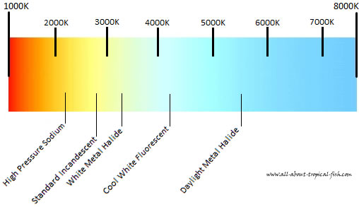 Kelvin Scale